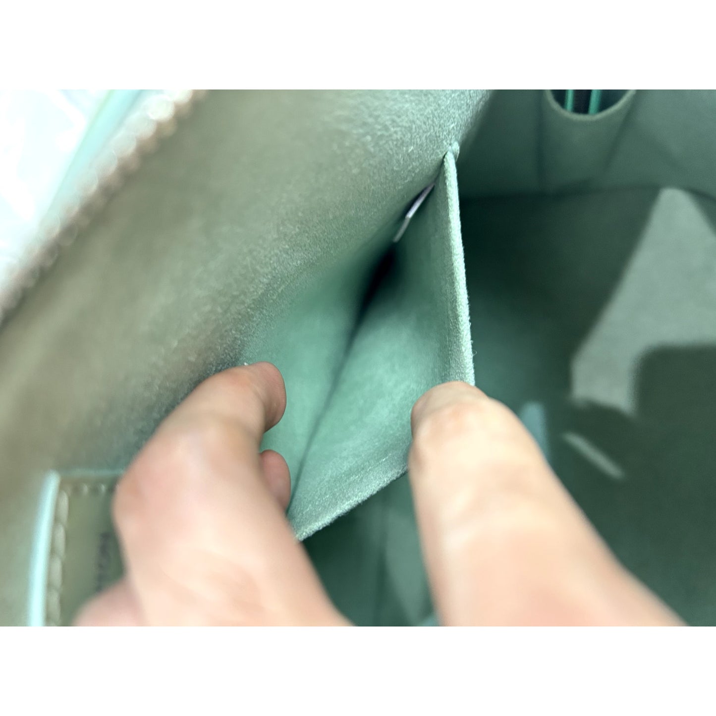Louis Vuitton Alma Watercoat PM