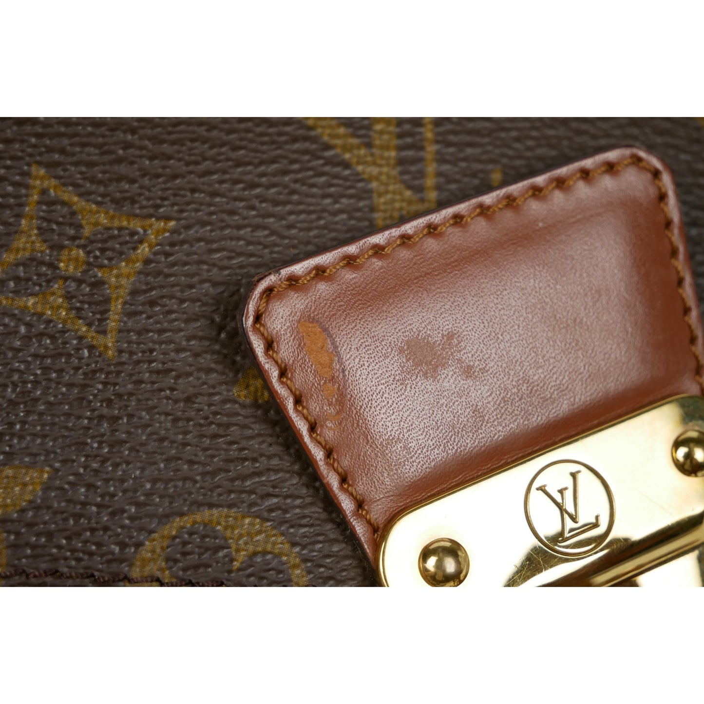 Louis Vuitton Monceau Bag