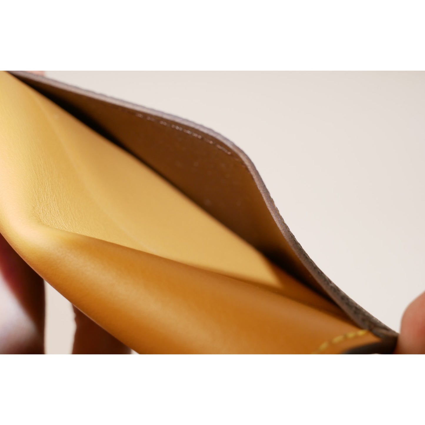 Louis Vuitton Blurred Wavy Pocket Organizer