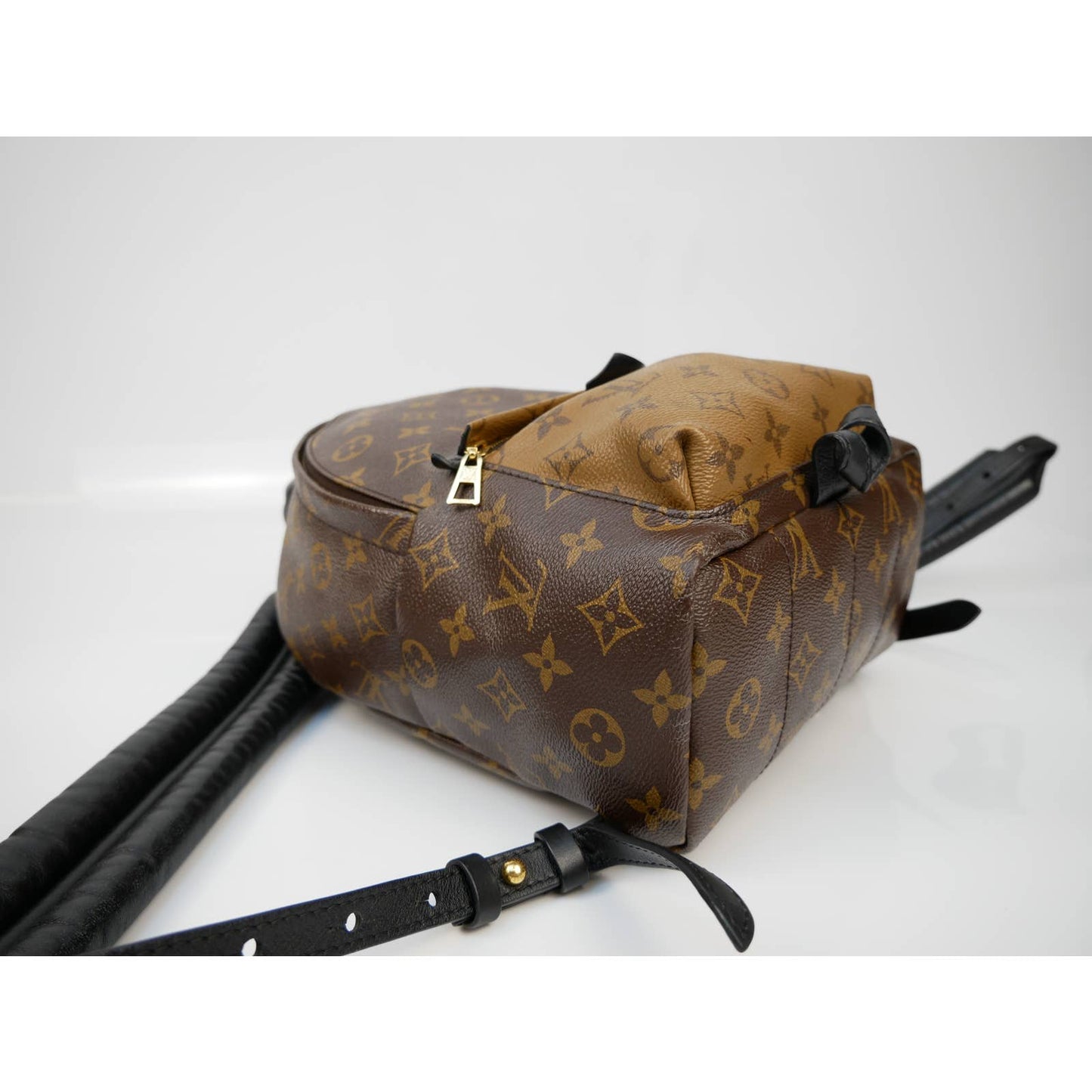 Louis Vuitton Palm Springs Reversible Backpack PM