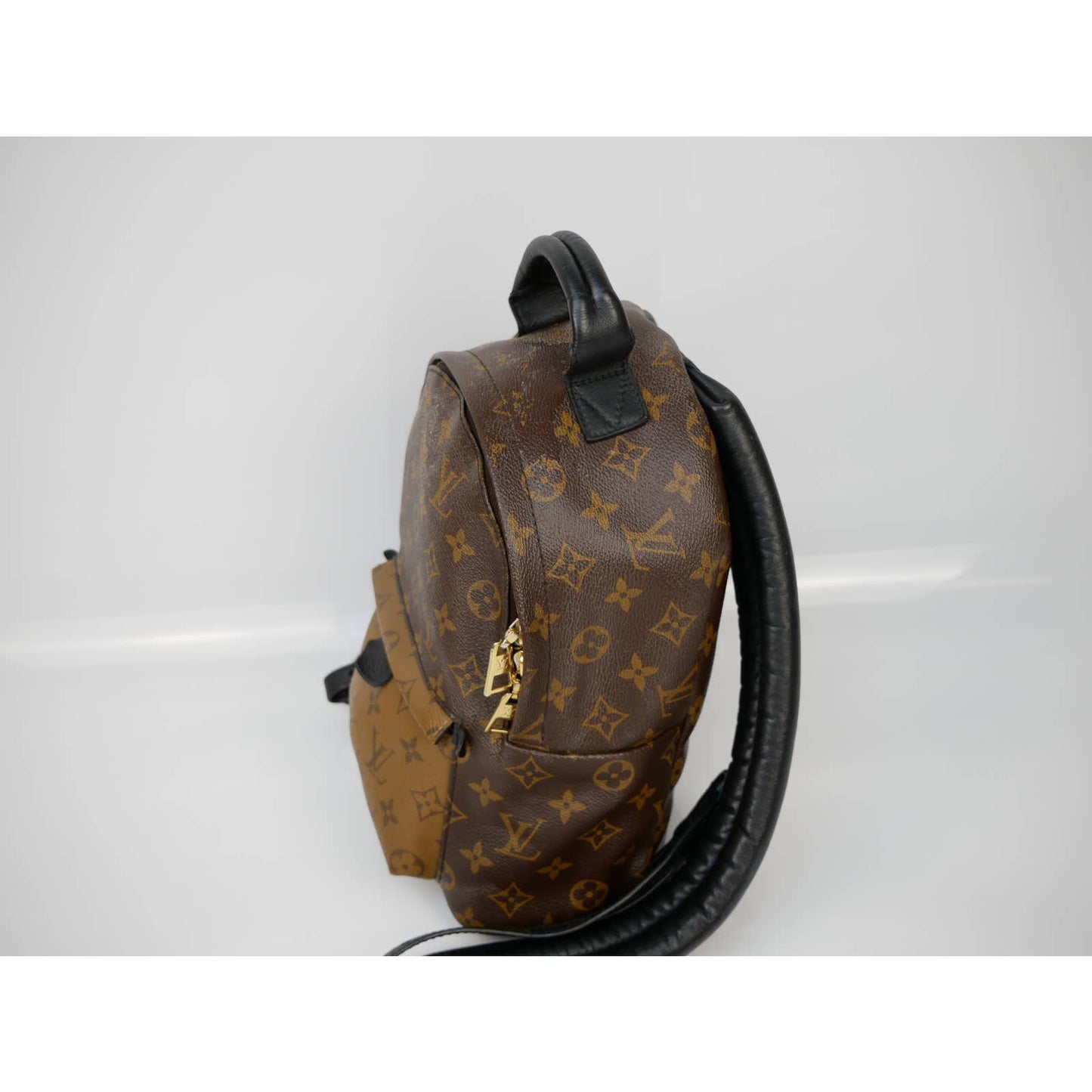 Louis Vuitton Palm Springs Reversible Backpack PM