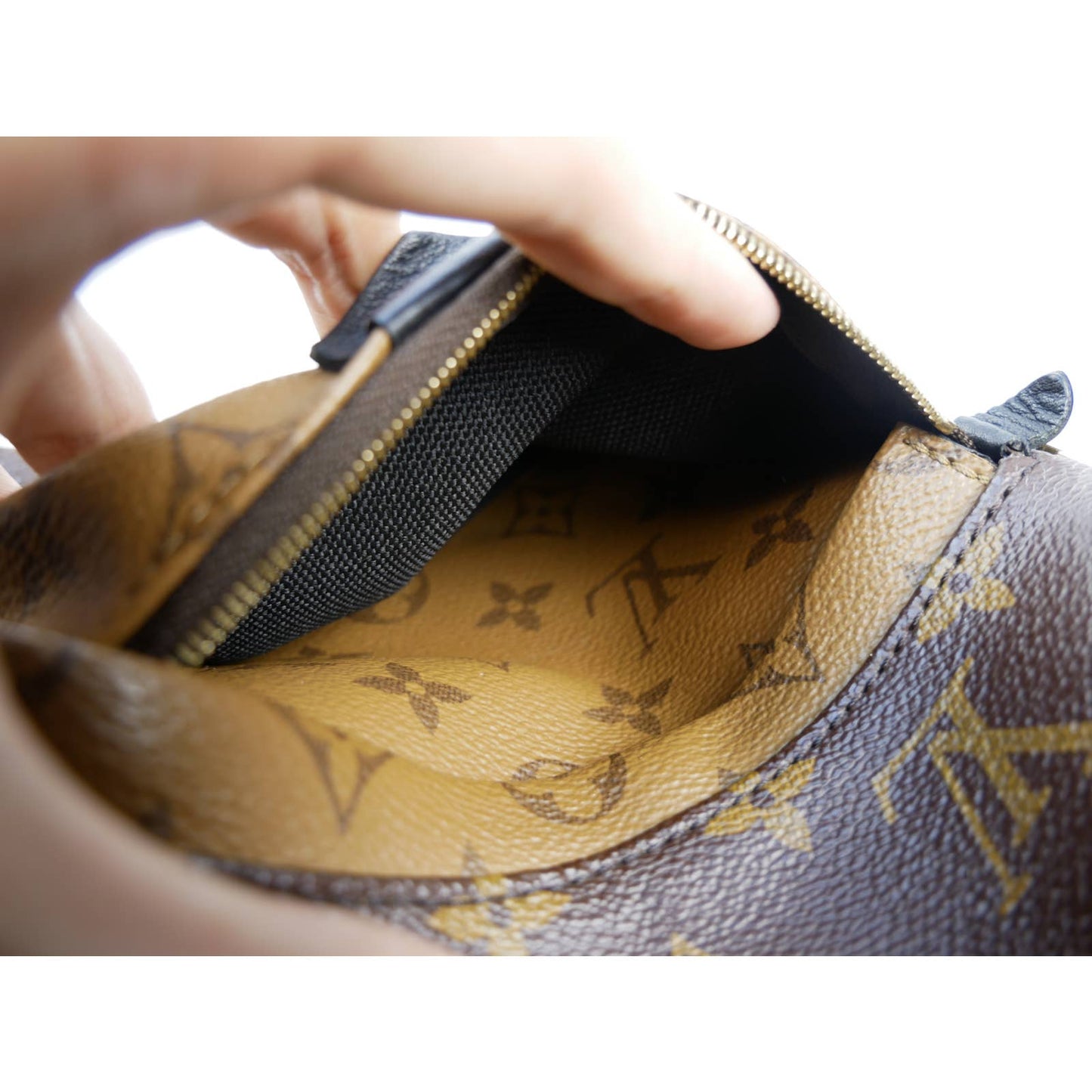 Louis Vuitton Palm Springs Reversible Backpack PM
