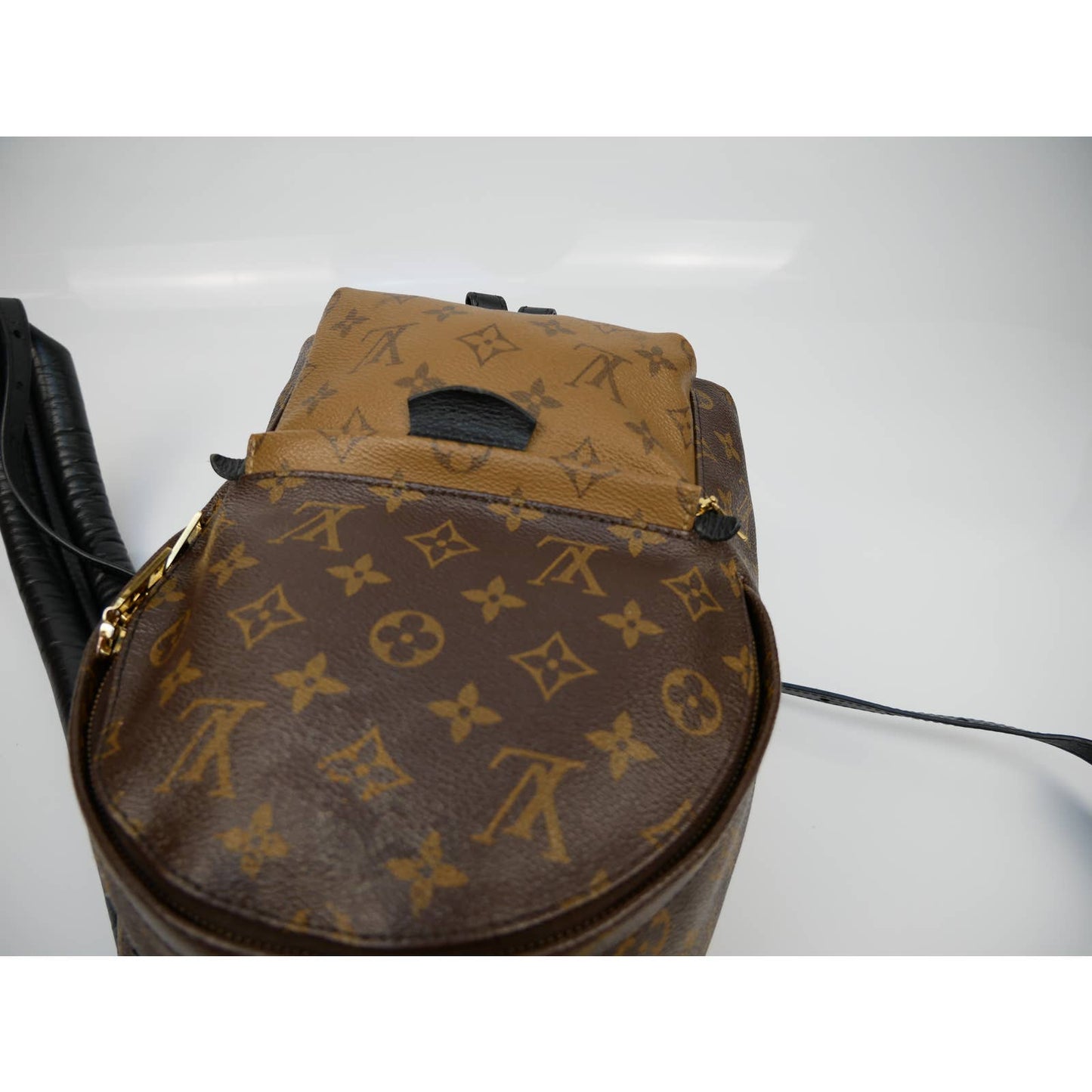 Louis Vuitton Palm Springs Reversible Backpack PM