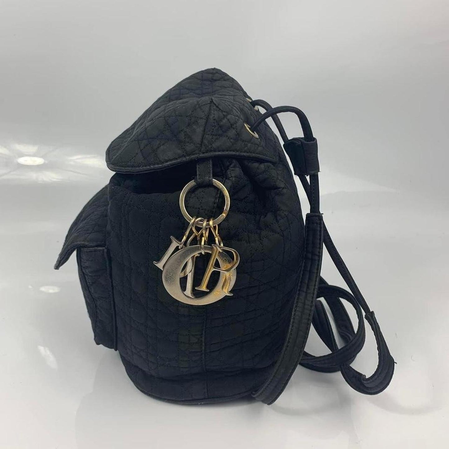 Dior Quilted Nylon Carnage Backpack