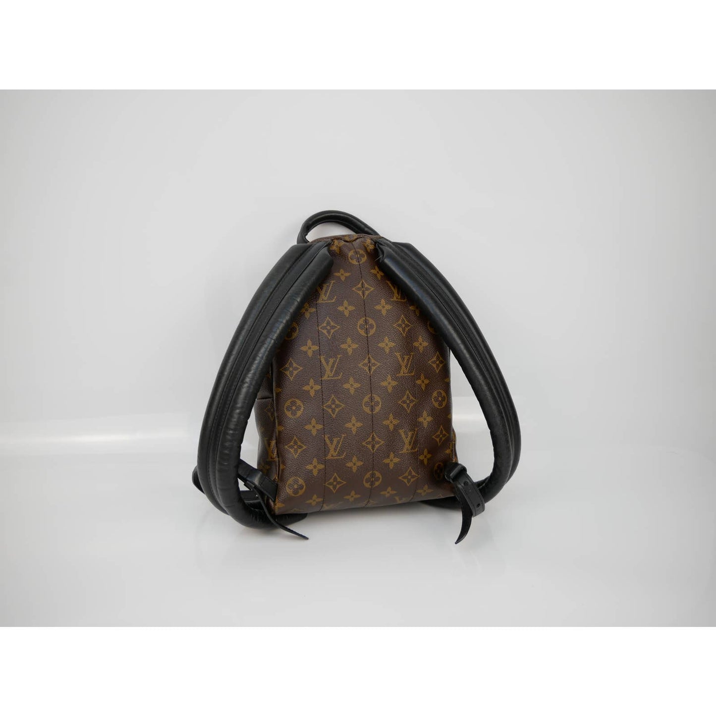 Louis Vuitton Palm Springs Reversible Backpack PM
