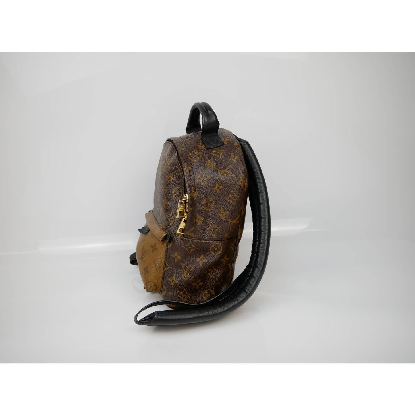 Louis Vuitton Palm Springs Reversible Backpack PM