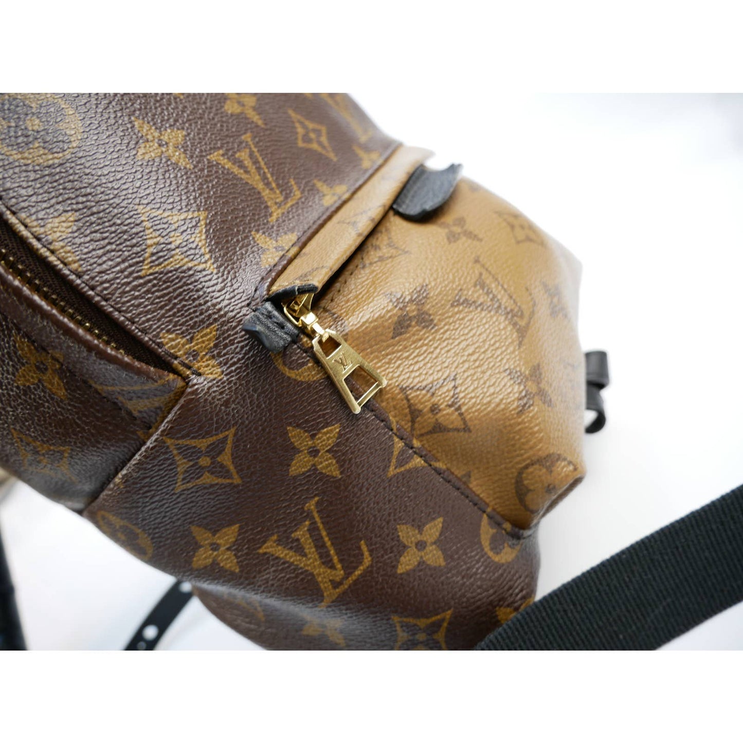 Louis Vuitton Palm Springs Reversible Backpack PM