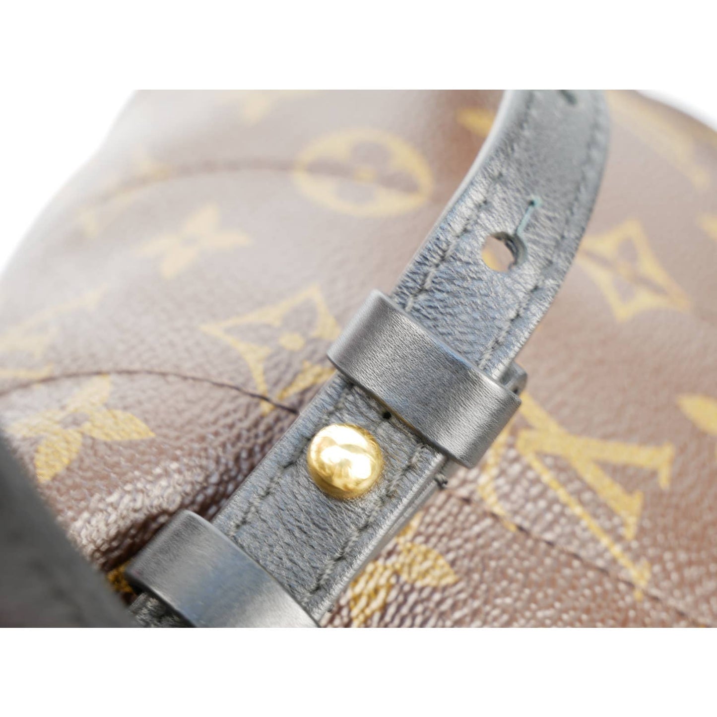 Louis Vuitton Palm Springs Reversible Backpack PM