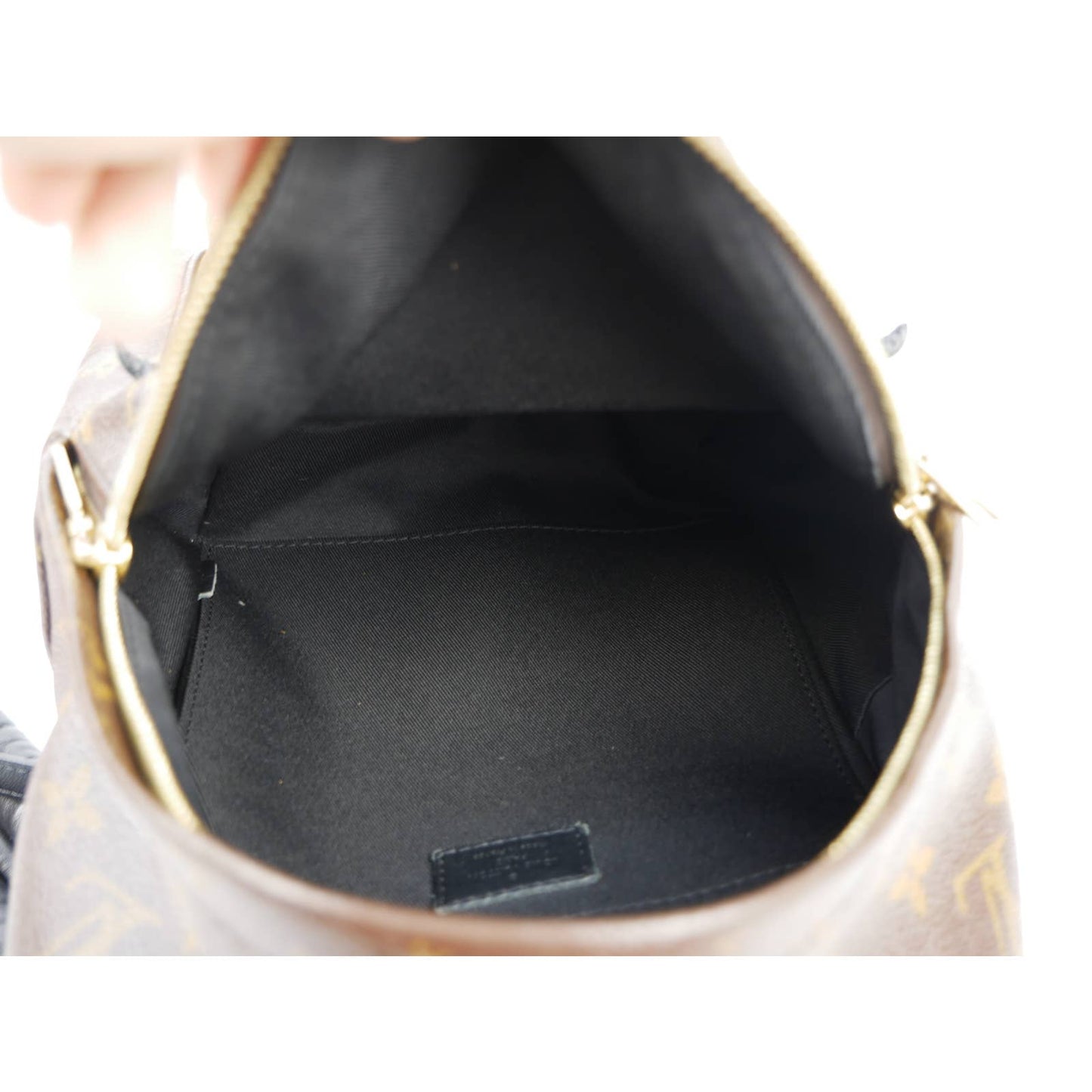 Louis Vuitton Palm Springs Reversible Backpack PM