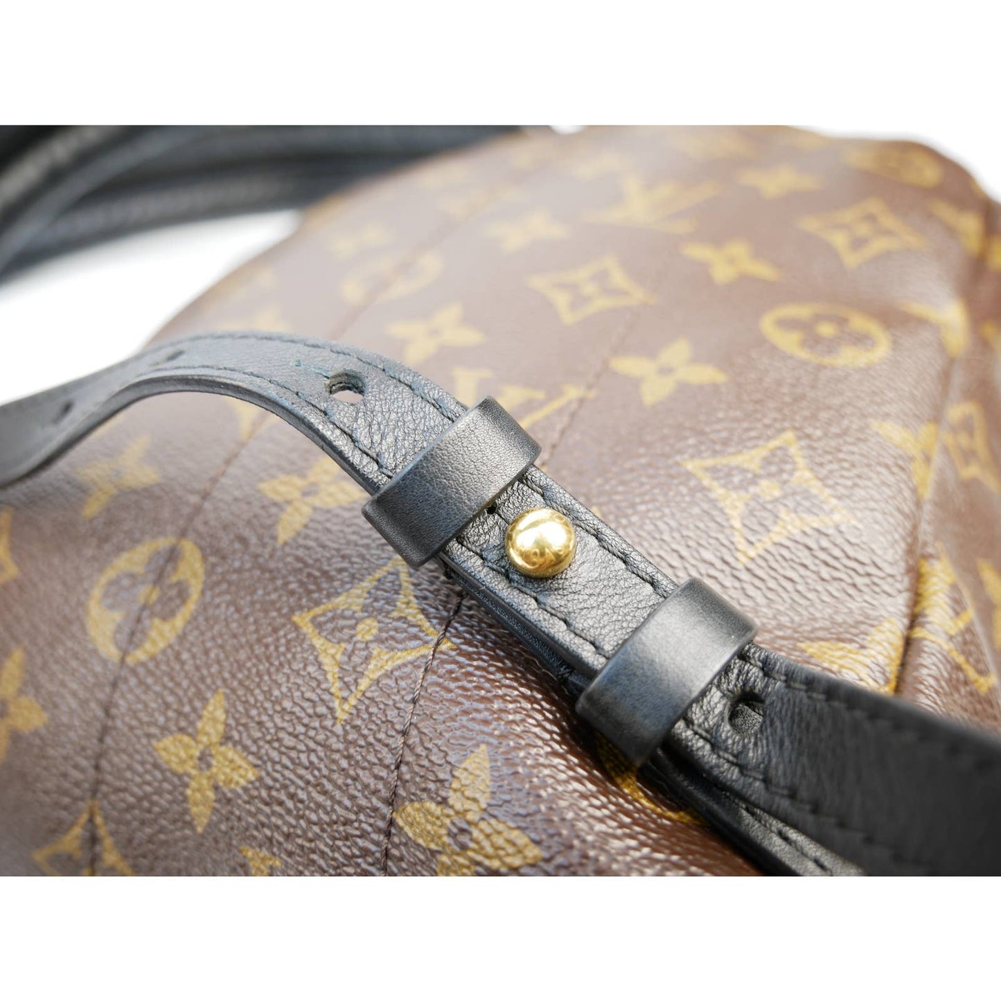 Louis Vuitton Palm Springs Reversible Backpack PM