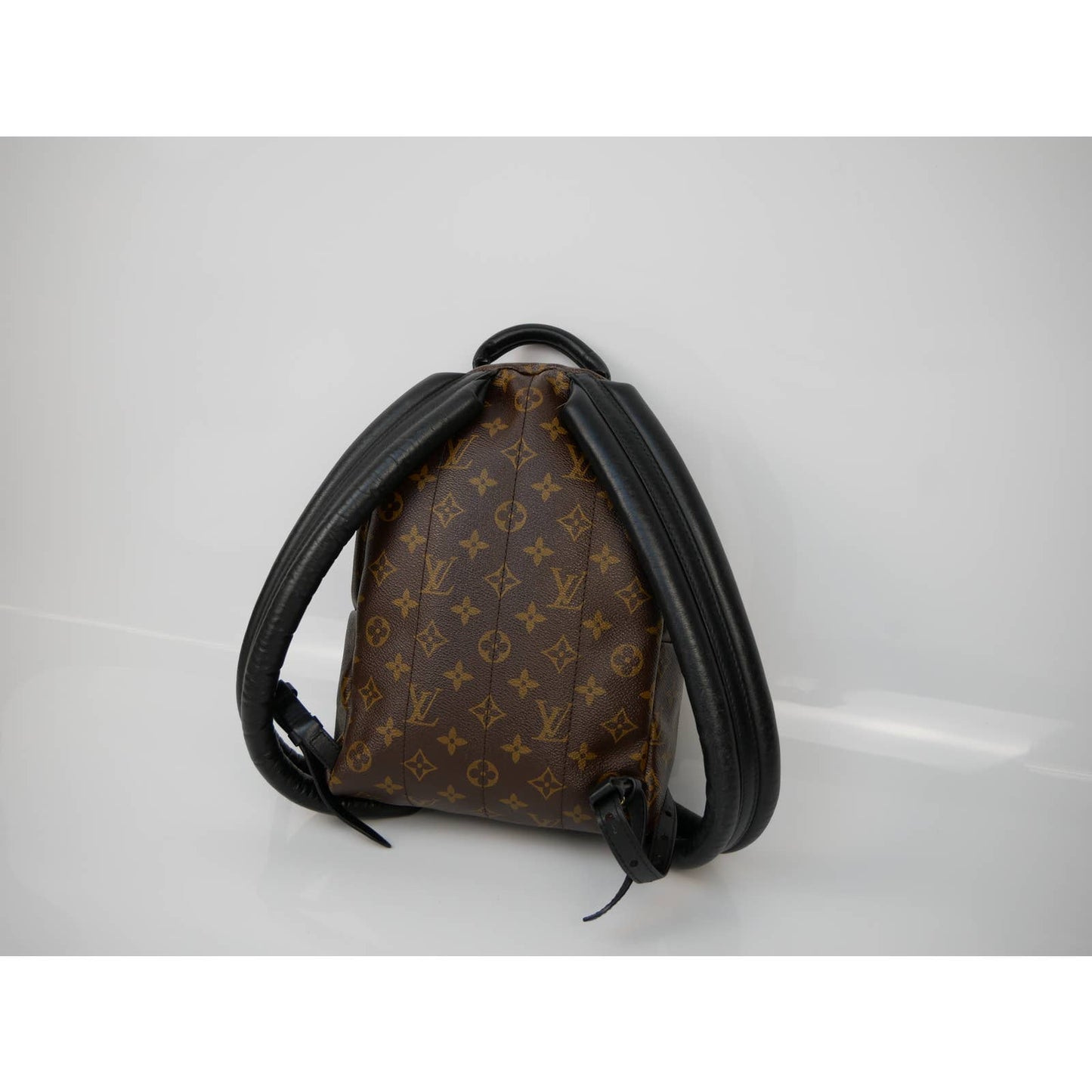 Louis Vuitton Palm Springs Reversible Backpack PM